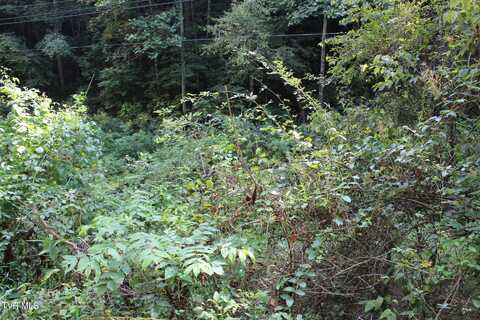 Tbd Campbell Hollow Road, Honaker, VA 24260