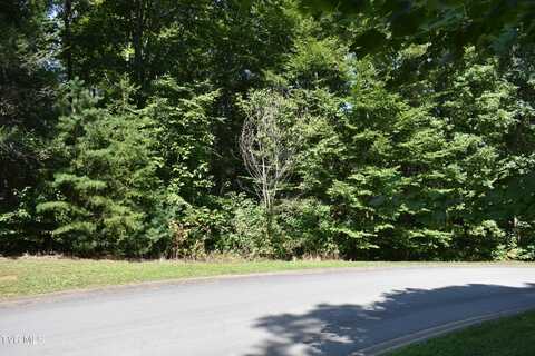 Lot 2 & 3 River Pointe Drive, Greeneville, TN 37743