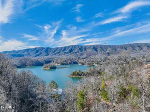 18 Horseshoe Cove Drive, Butler, TN 37640