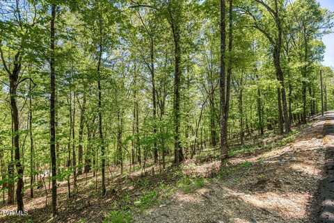 1184 Keetoowah Drive, Mooresburg, TN 37811