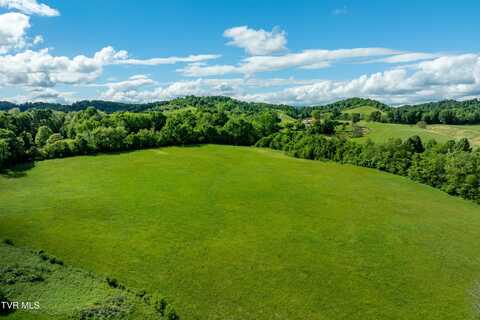 3250 Old Ducktown Road, Limestone, TN 37681