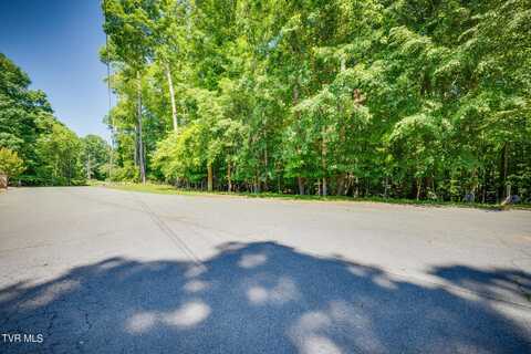 Tbd Hunters Lane, Church Hill, TN 37642