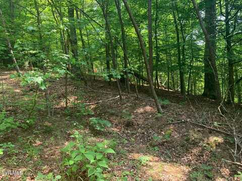 Lot 1239 Rustic Drive, Baneberry, TN 37890