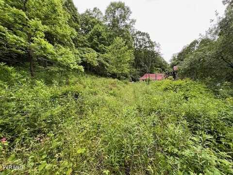 Tbd Robinson Hollow Lane, Mountain City, TN 37683