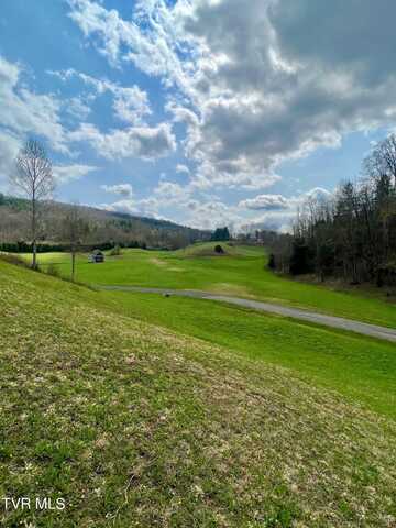 Lot 16 Silver Oak Private Trail, Butler, TN 37640