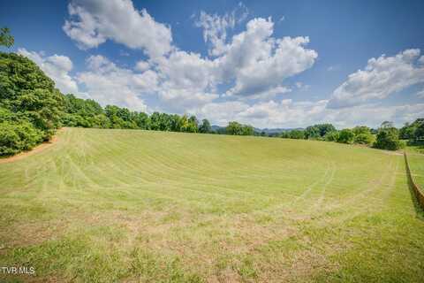 Tbd Dulaney Road, Jonesborough, TN 37659