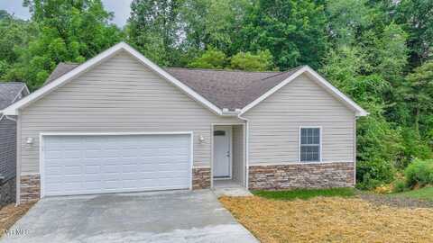 216 Brighton Place, Bristol, TN 37620