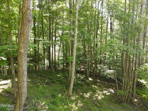 Tbd Whispering Pines Rd, Johnson City, TN 37601