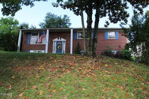 952 Afton Street, Kingsport, TN 37660