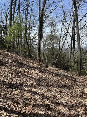 00 South Of Harbin Hill Road, Mountain City, TN 37683