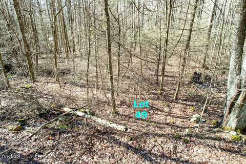 Lot 49 Hemlock Drive, Greeneville, TN 37743