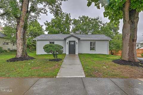 208 Wilson Avenue, Johnson City, TN 37604