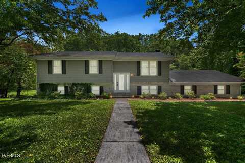 419 Cedar Valley Road, Bristol, TN 37620