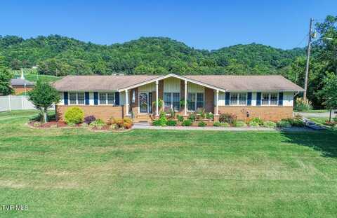 124 Apple Lane, Rogersville, TN 37857