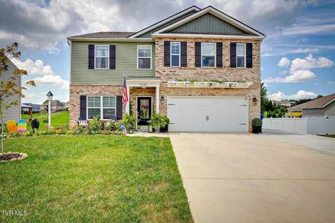 1045 Pampas Drive, Jonesborough, TN 37659