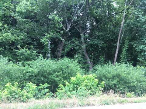 Lot 1 Adrian Drive, Kingsport, TN 37664