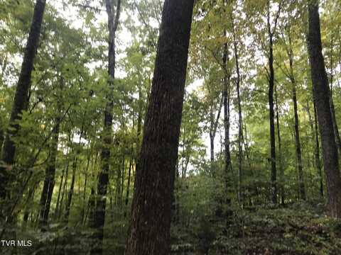 60.83 Ac Dana Cope Hollow Road, Thorn Hill, TN 37881