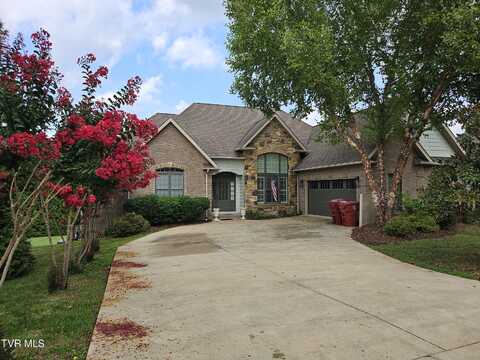 1001 Willows Trace Drive, Johnson City, TN 37601