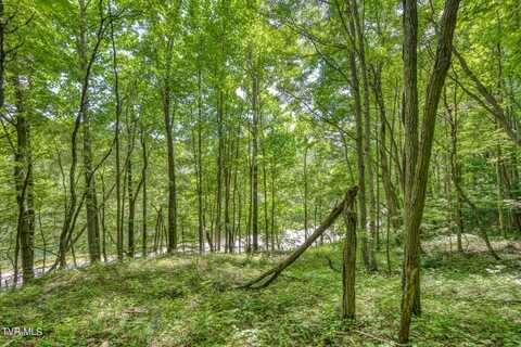 Tbd Alvins Fox Trail, Mars Hill, NC 28754