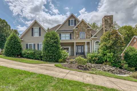 1010 Willows Trace Drive, Johnson City, TN 37601