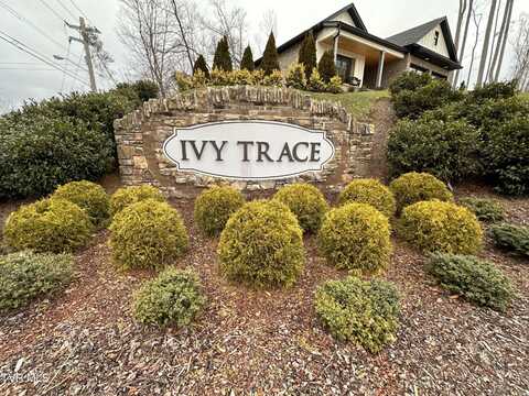 42 English Ivy Trail Trail, Jonesborough, TN 37659