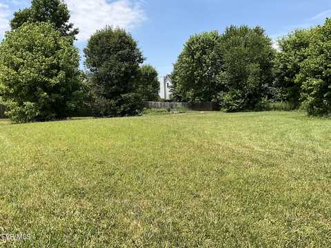 71 Creek View Court, Gray, TN 37615