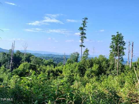 Tbd Walnut Mountain Road, Roan Mountain, TN 37687