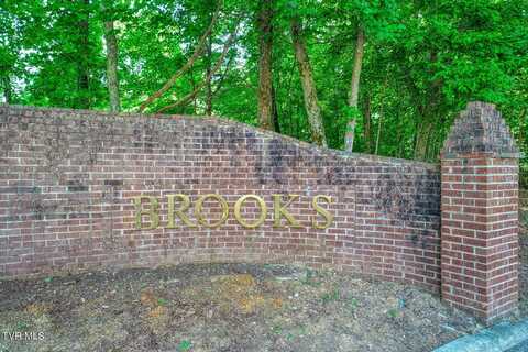 Lot 64 Brooks Pointe Drive, Rogersville, TN 37857