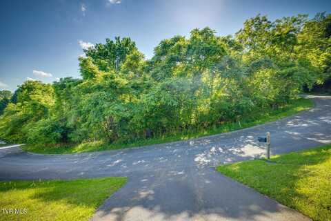 Lot 20 Morning Star Drive, Kingsport, TN 37664