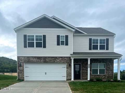 809 Magnolia Ridge Drive, Blountville, TN 37617