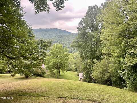 Tbd Foley Drive, Big Stone Gap, VA 24219