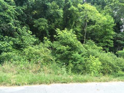 Lot 2 Adrian Drive, Kingsport, TN 37664