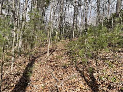 00 Sink Valley Road, Butler, TN 37640