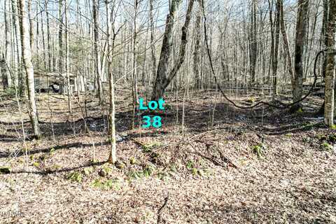 Lot 38 Hemlock Drive, Greeneville, TN 37743