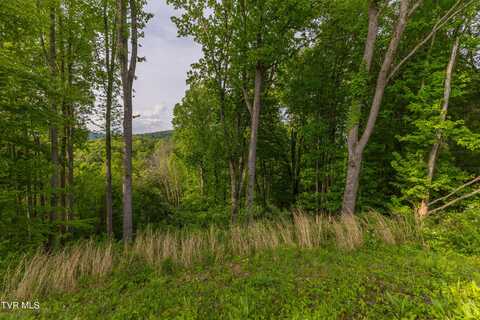 Tbd Watauga Ridge Road, Butler, TN 37640