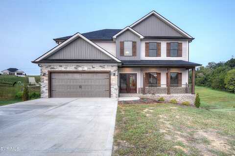 299 Hillendale Lane, Gray, TN 37615