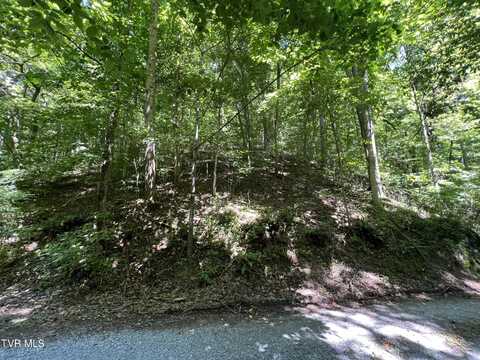 Tbd Canaan Road, Butler, TN 37640