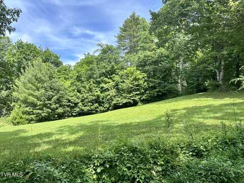 Tbd Hickory Circle, Butler, TN 37640