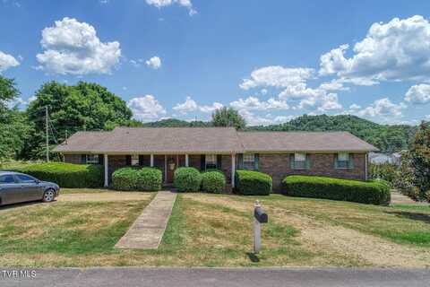 101 Livesay Circle, Rogersville, TN 37857