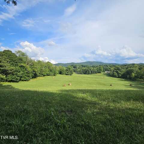 Tbd Widener Valley Road, Glade Spring, VA 24340