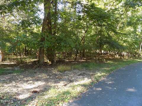 Tbd Kings Mountain Rd., Church Hill, TN 37642