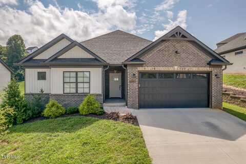 1382 Prospects Way, Gray, TN 37615