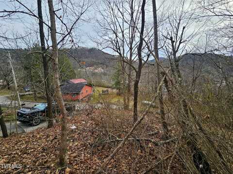 Tbd Ridge Avenue, Appalachia, VA 24216