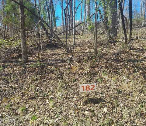 Lot 182 Ox Bow Ave., Unicoi, TN 37692