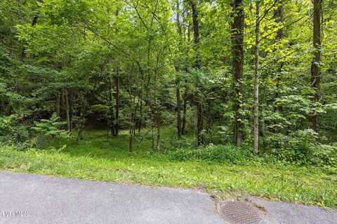 Tbd Rich Hollow Road, Erwin, TN 37650