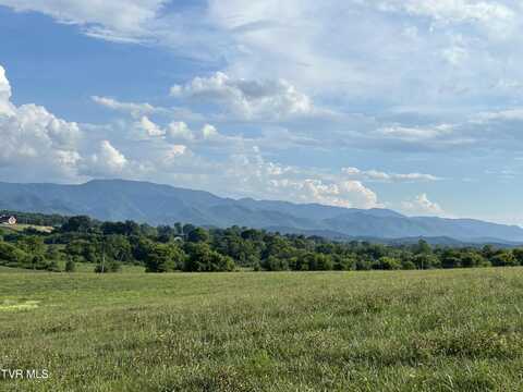 150 Lester Snapp Lot 2 - 10 Acres Road, Limestone, TN 37681