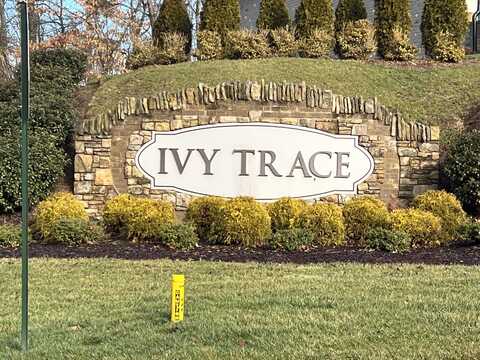 Lot 45 English Ivy Trail, Jonesborough, TN 37659