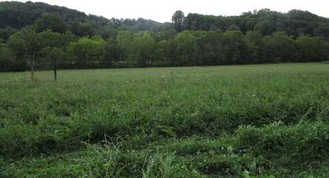 Tbd Buck Creek Road, Roan Mountain, TN 37687