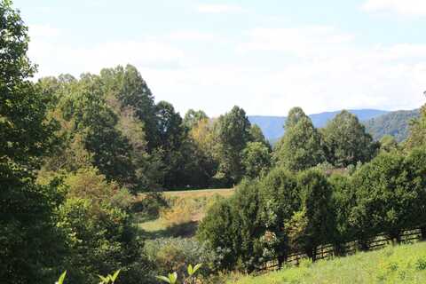 Lot #49 Redbud Circle, Butler, TN 37640