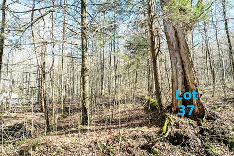 Lot 37 Hemlock Drive, Greeneville, TN 37743